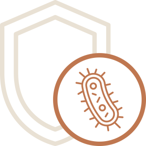 Bacteria-resistant-kitchen Bacteria-resistant-kitchen